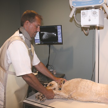 Dr. Davis taking xray image